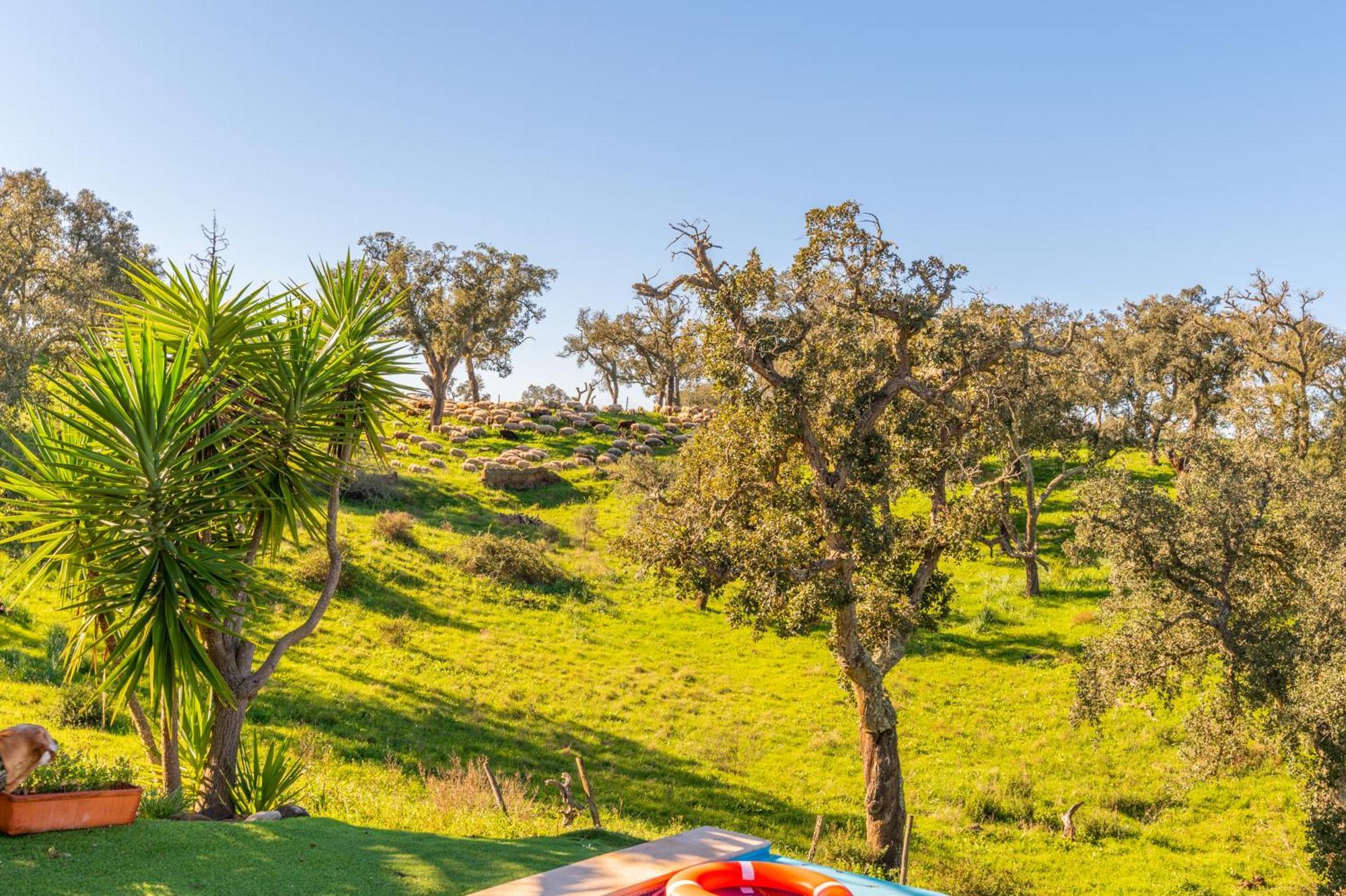 Sierra Melides Villa,Alentejo, Br2 With Private Pool, Br3 With Private Pool - Near Beach São Francisco da Serra Room photo